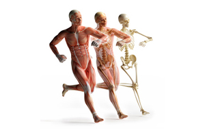 MA 1 (Modules A, B et C) - MEDECINE ACADEMIQUE